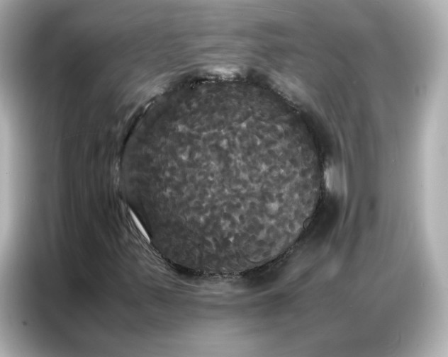 X0000086921347200704301049
