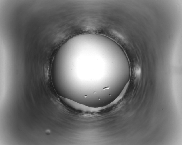 X0000086921348200704301049