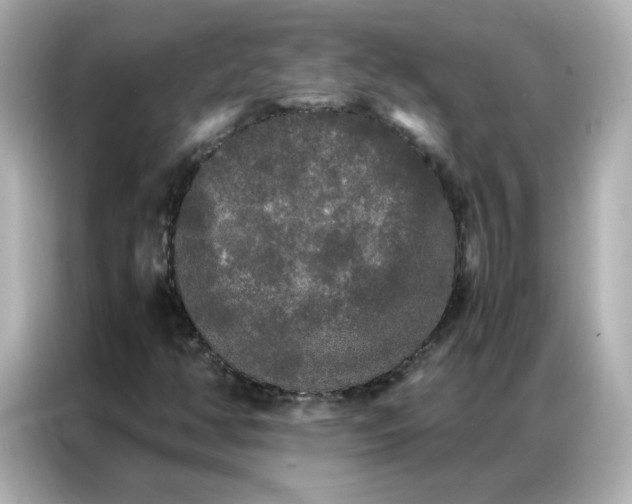 X0000086921350200704301049