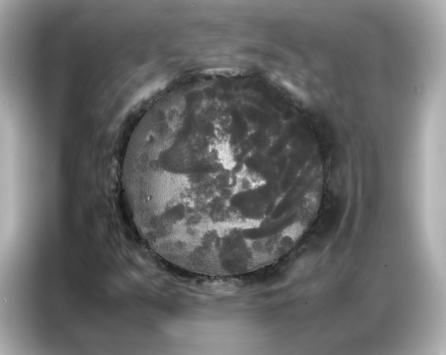 X0000086921351200704301049