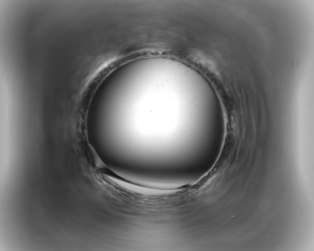 X0000086921352200704301049