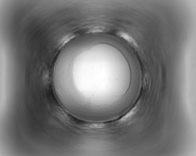 X0000086921353200704301049