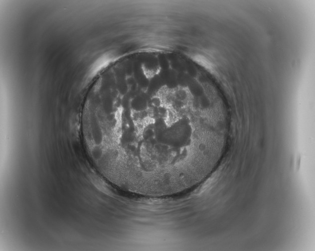 X0000086921355200704301049