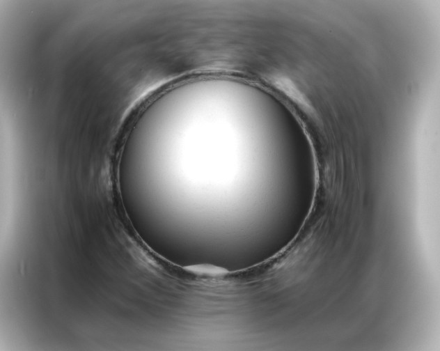 X0000086921356200704301049