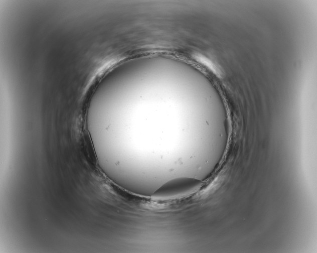 X0000086921357200704301049
