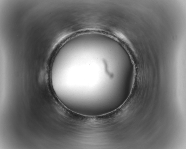 X0000086921360200704301049