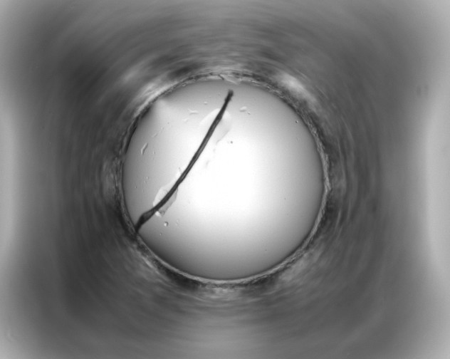 X0000086921361200704301049