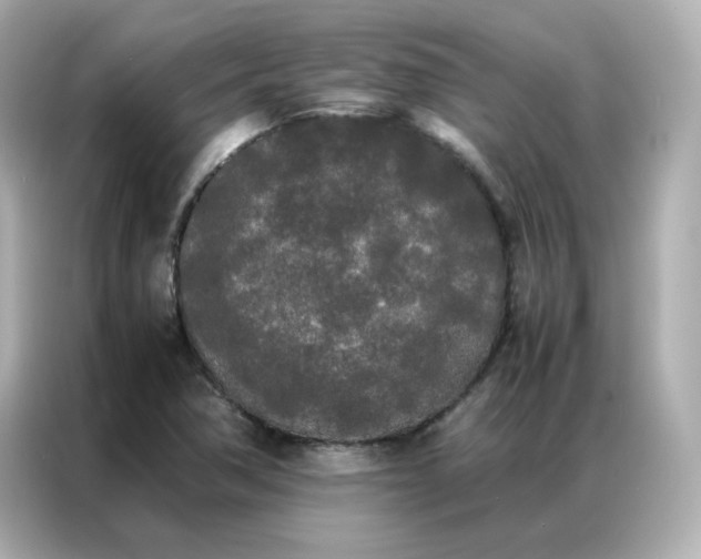 X0000086921362200704301049