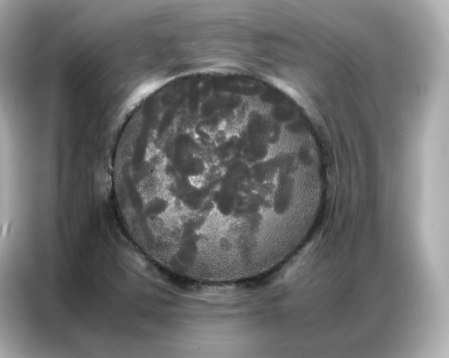 X0000086921363200704301049