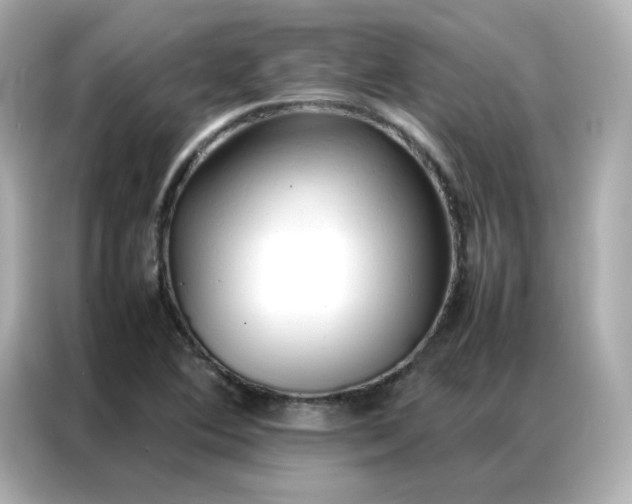 X0000086921364200704301049