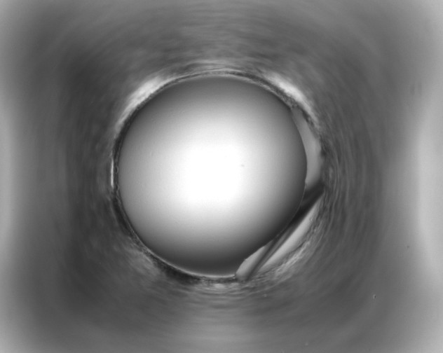 X0000086921365200704301049