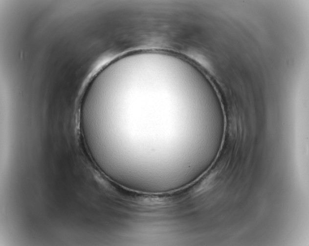 X0000086921366200704301049