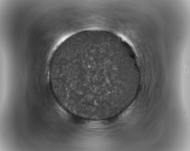 X0000086921367200704301049