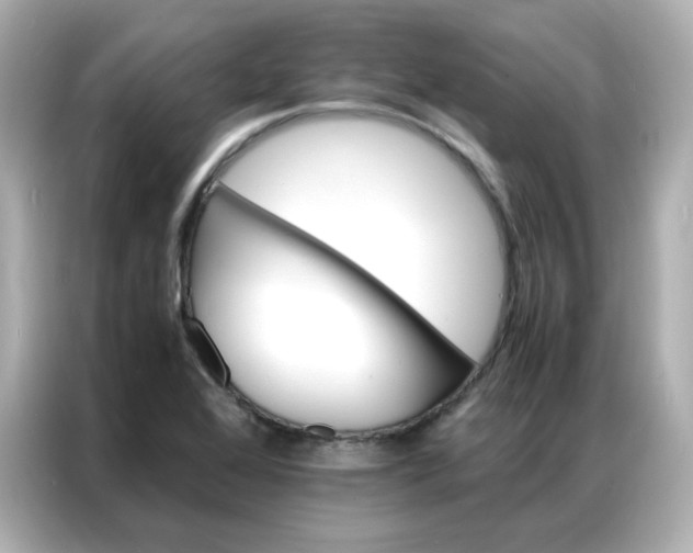 X0000086921368200704301049