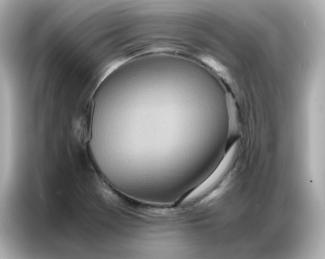 X0000086921369200704301049