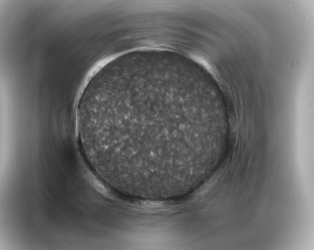 X0000086921371200704301049