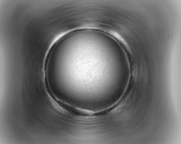 X0000086921372200704301048
