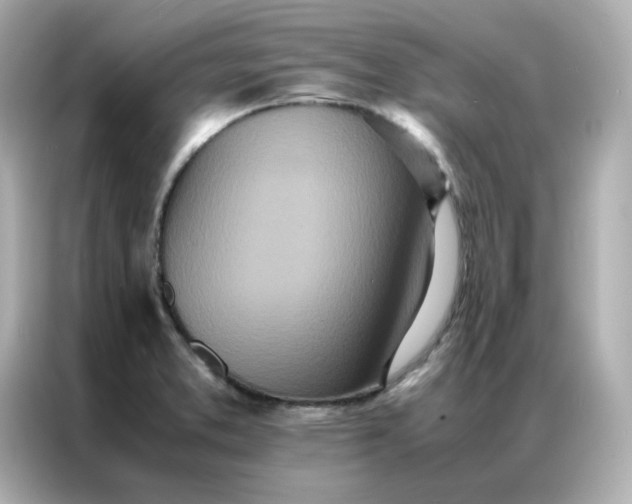 X0000086921373200704301048