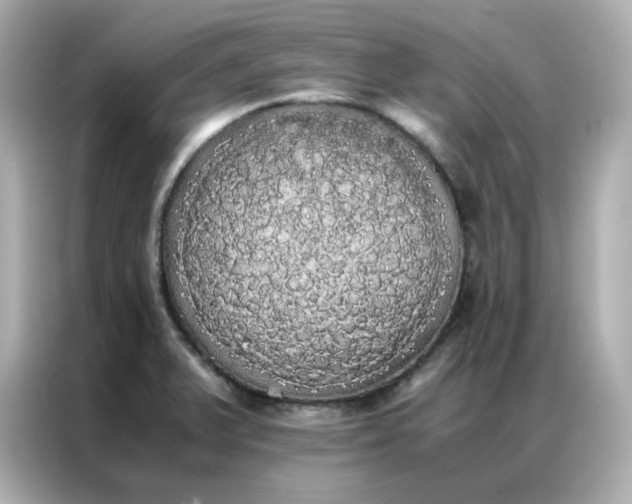 X0000086921375200704301048