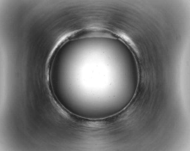 X0000086921376200704301048