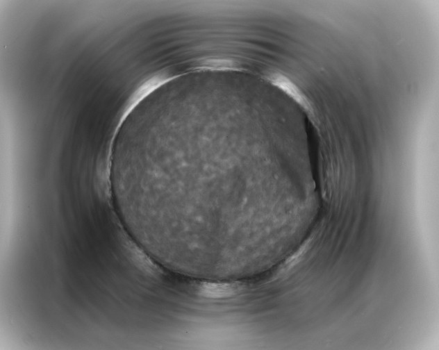X0000086921378200704301048
