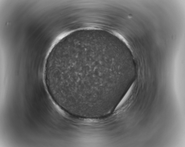 X0000086921379200704301048