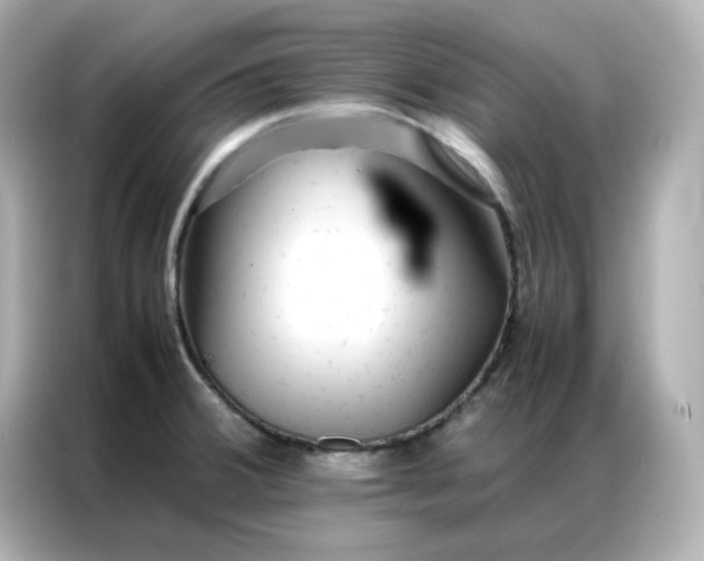 X0000086921380200704301048