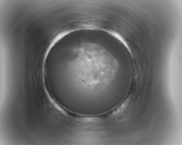 X0000086921381200704301048
