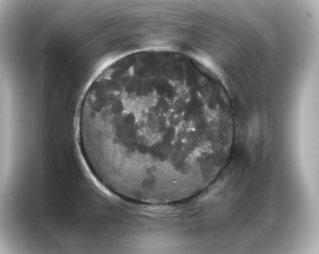 X0000086921383200704301048