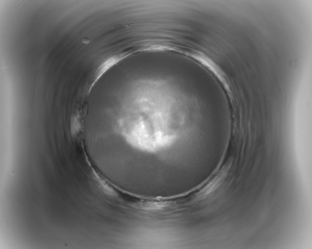 X0000086921385200704301048