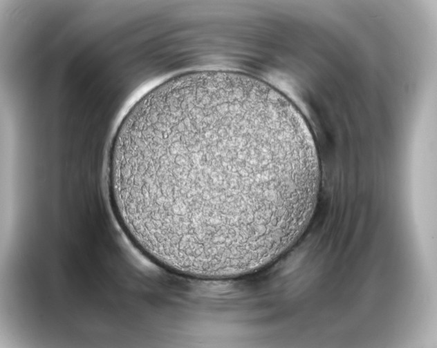 X0000086921387200704301048