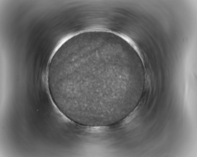 X0000086921390200704301048