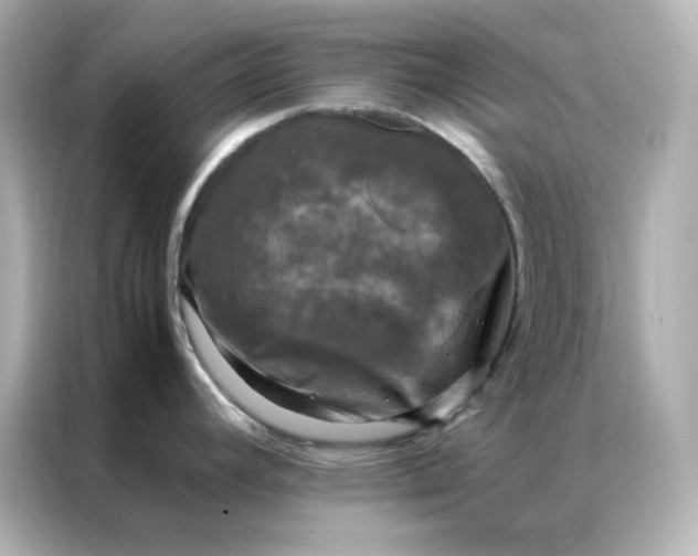 X0000086921392200704301048