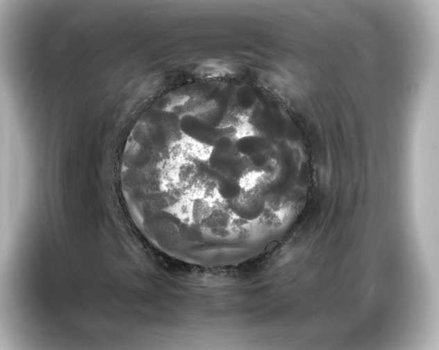 X0000086921393200704301048