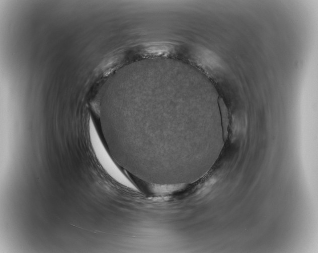 X0000086921394200704301048