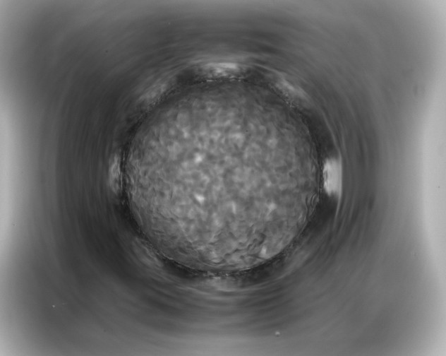 X0000086921395200704301048