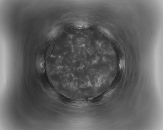 X0000086921396200704301048