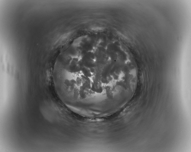 X0000086921397200704301048