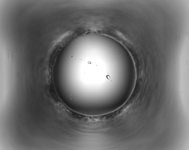 X0000086921398200704301048