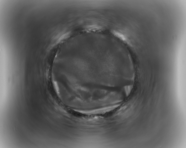 X0000086921399200704301048