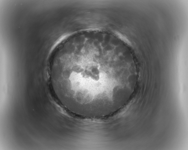 X0000086921400200704301048