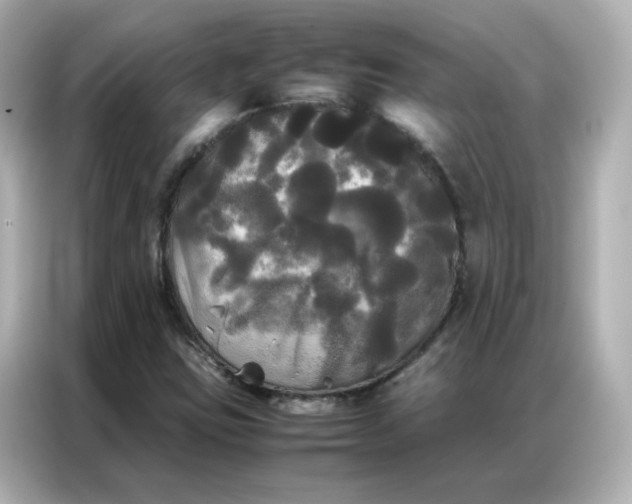 X0000086921403200704301048