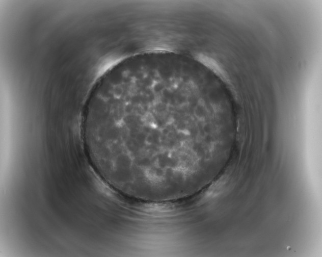 X0000086921404200704301048