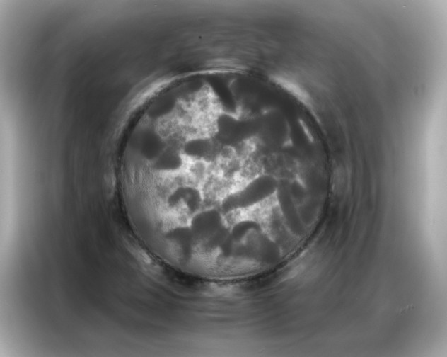 X0000086921407200704301048