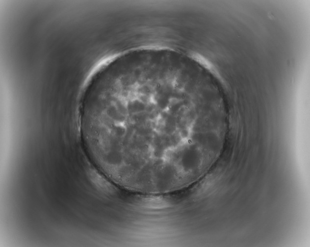 X0000086921408200704301048