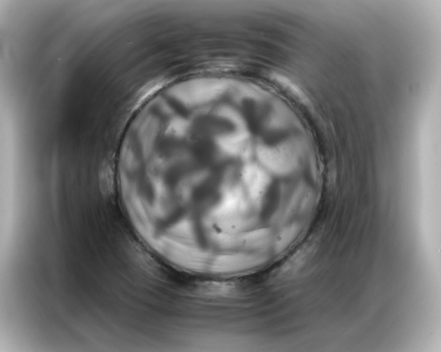 X0000086921409200704301048