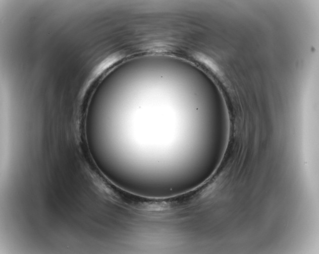 X0000086921410200704301048