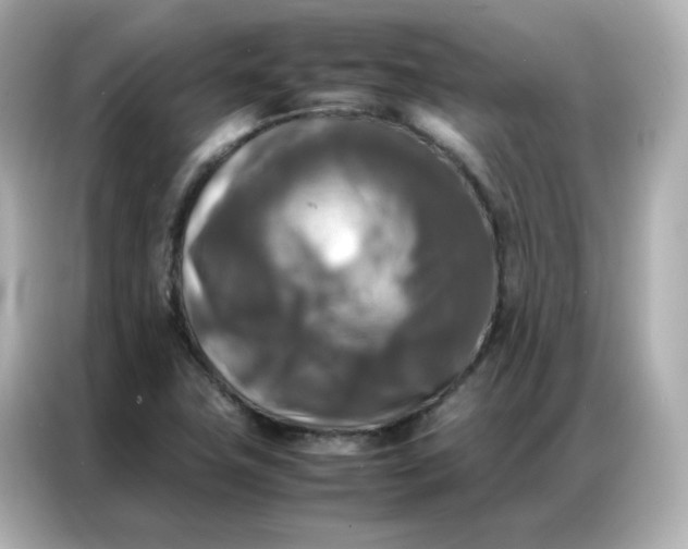 X0000086921411200704301048