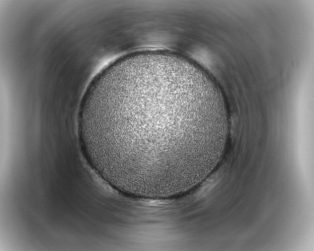X0000086921412200704301048