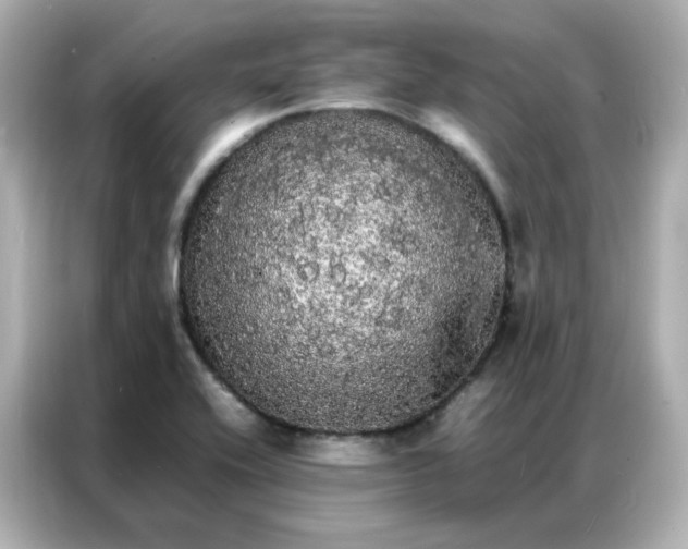 X0000086921416200704301048